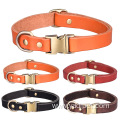 Leather Personalised Cat dog Collars